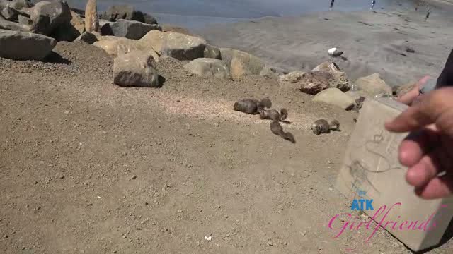 Serena-Hill-Norcal-Second-Visit-2