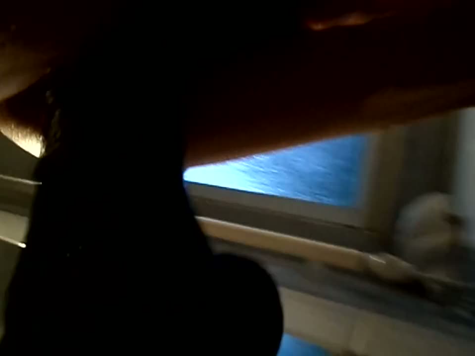 my-little-sex-beast-fucks-monstercock-sticked-on-mirror